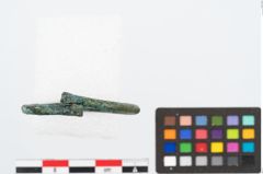 Foto von Bronzering (NHMW-PRAE-026453)